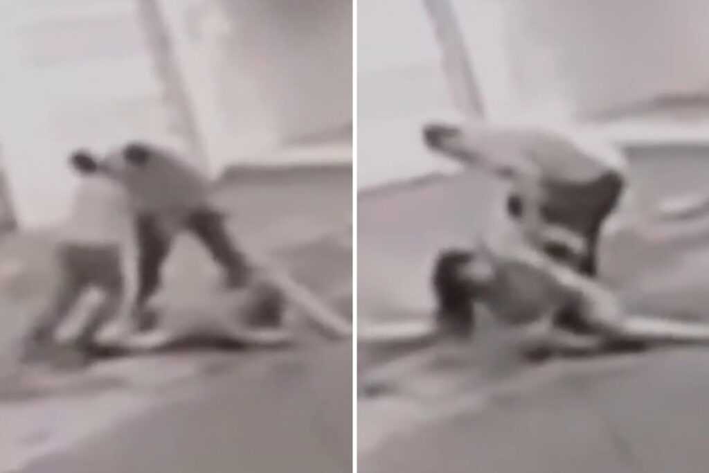 video.-marido-atropela-mulher-e-filho-tenta-impedir-mais-agressoes