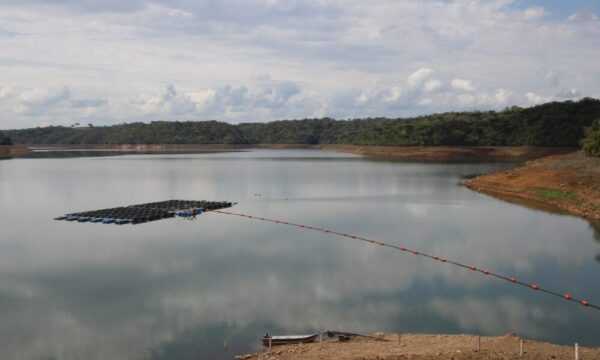 -crise-hidrica-na-regiao-metropolitana-de-campinas:-causas,-impactos-e-o-que-vem-pela-frente